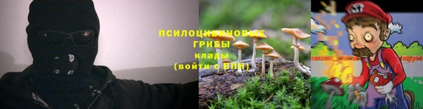 дживик Горнозаводск