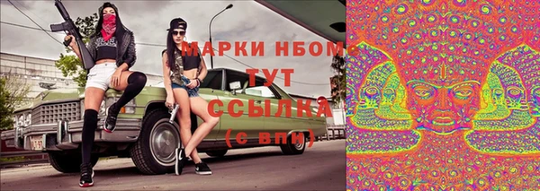 гашик Вязники