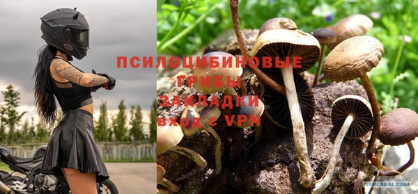 spice Ладушкин