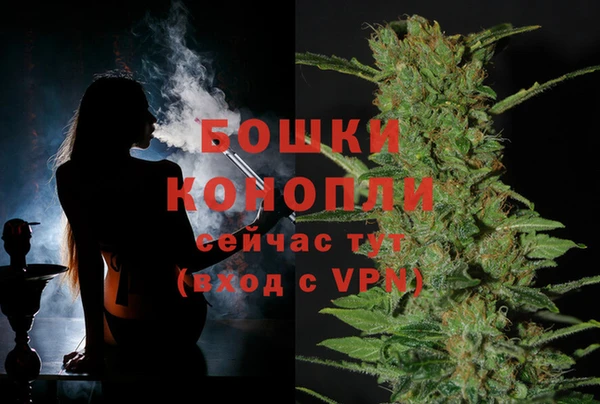 дживик Лагань