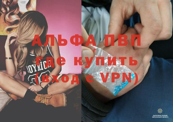 spice Ладушкин