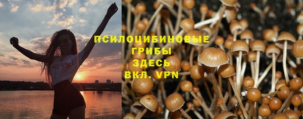 дживик Лагань