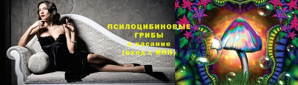 дживик Лагань