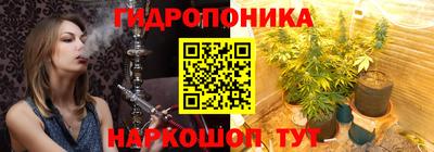 гидра Аргун