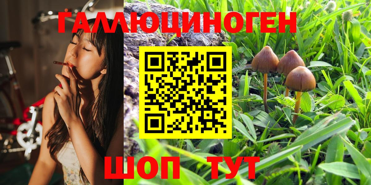 Галлюциногенные грибы Magic Shrooms Рубцовск