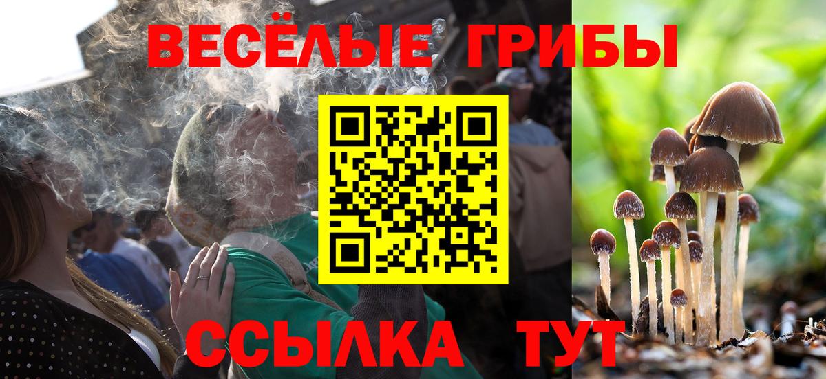 Галлюциногенные грибы ЛСД Рубцовск