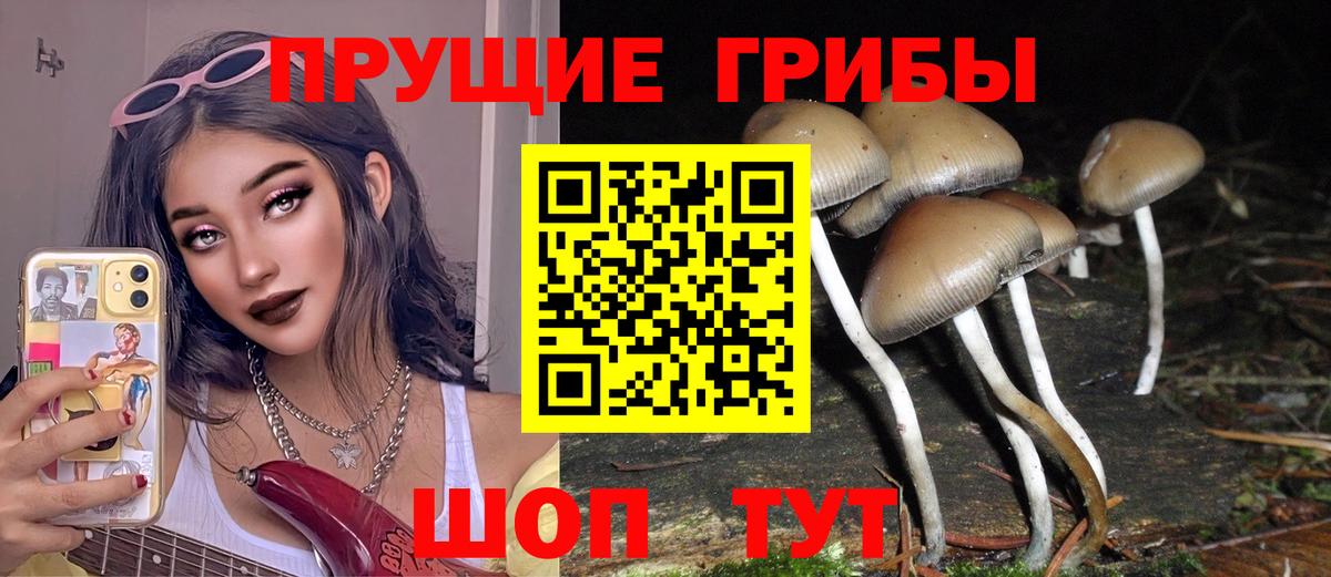 ГАШИШ  Рубцовск  ЭКСТАЗИ  Меф   Вход с VPN  Конопля  Cocaine 