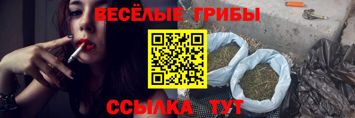 где найти наркотики  Псилоцибиновые грибы Cubensis  Рубцовск  Галлюциногенные грибы MAGIC MUSHROOMS 